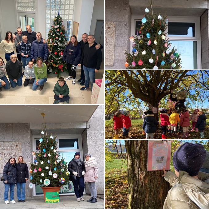 alberi natale casatenovo