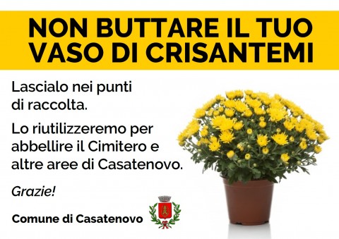 non buttare il vaso di crisantemi